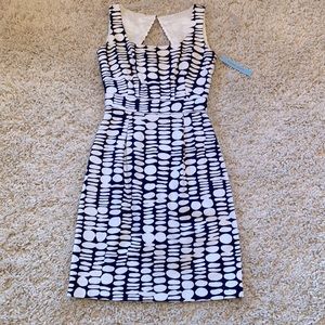 NWT Antonio Melani Navy/White Dress Size 0